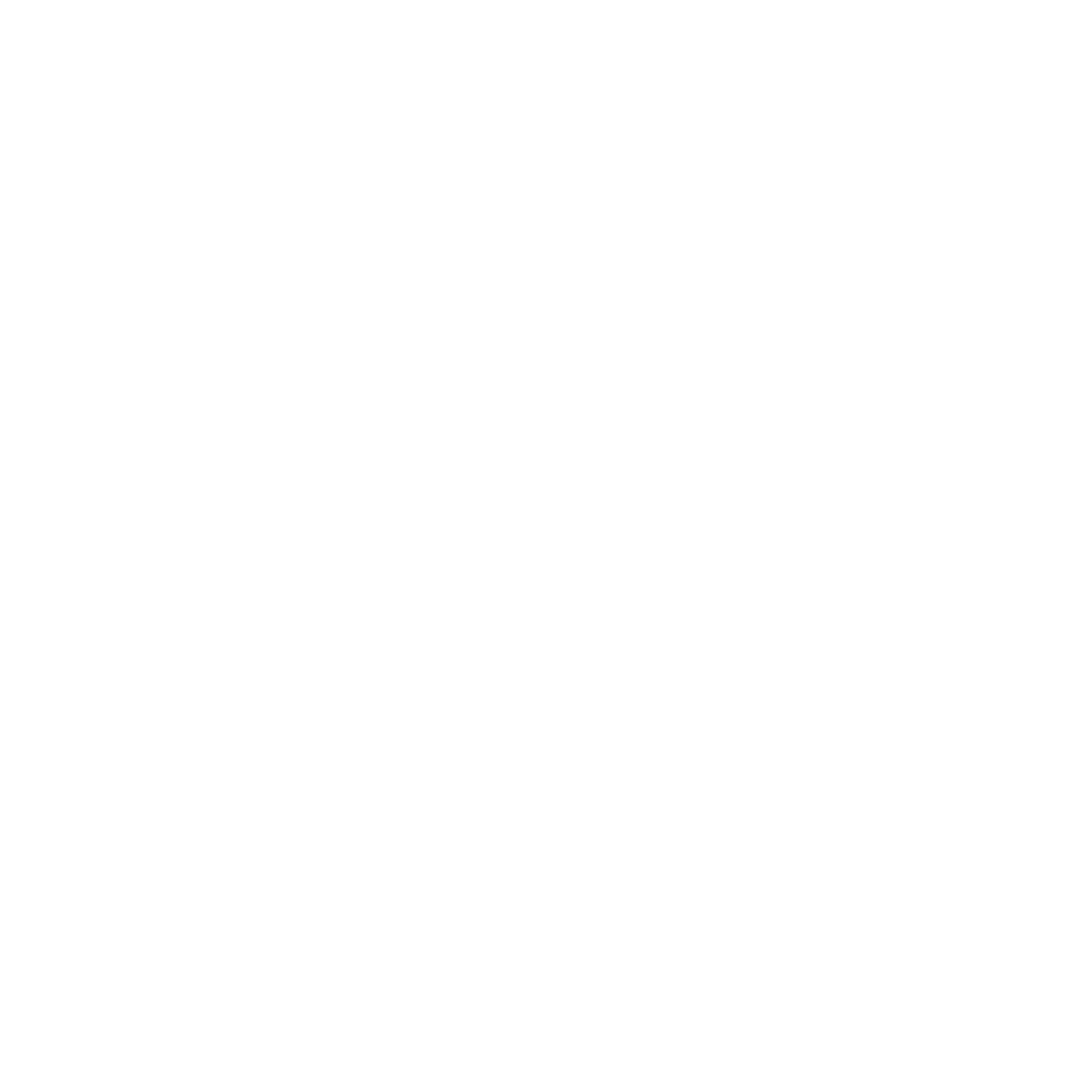 franchise investing